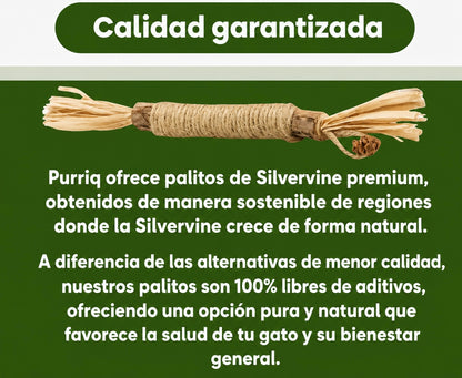 Nova Stick Dental Natural Silvervine