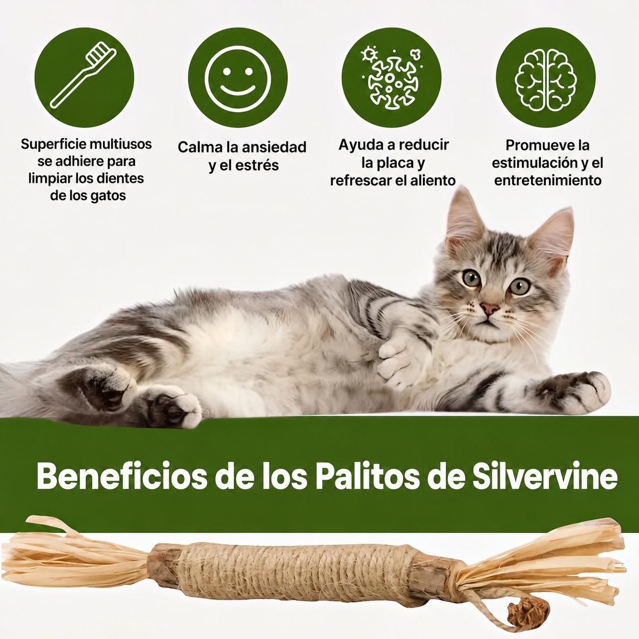 Nova Stick Dental Natural Silvervine