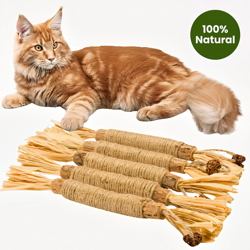 Nova Stick Dental Natural Silvervine
