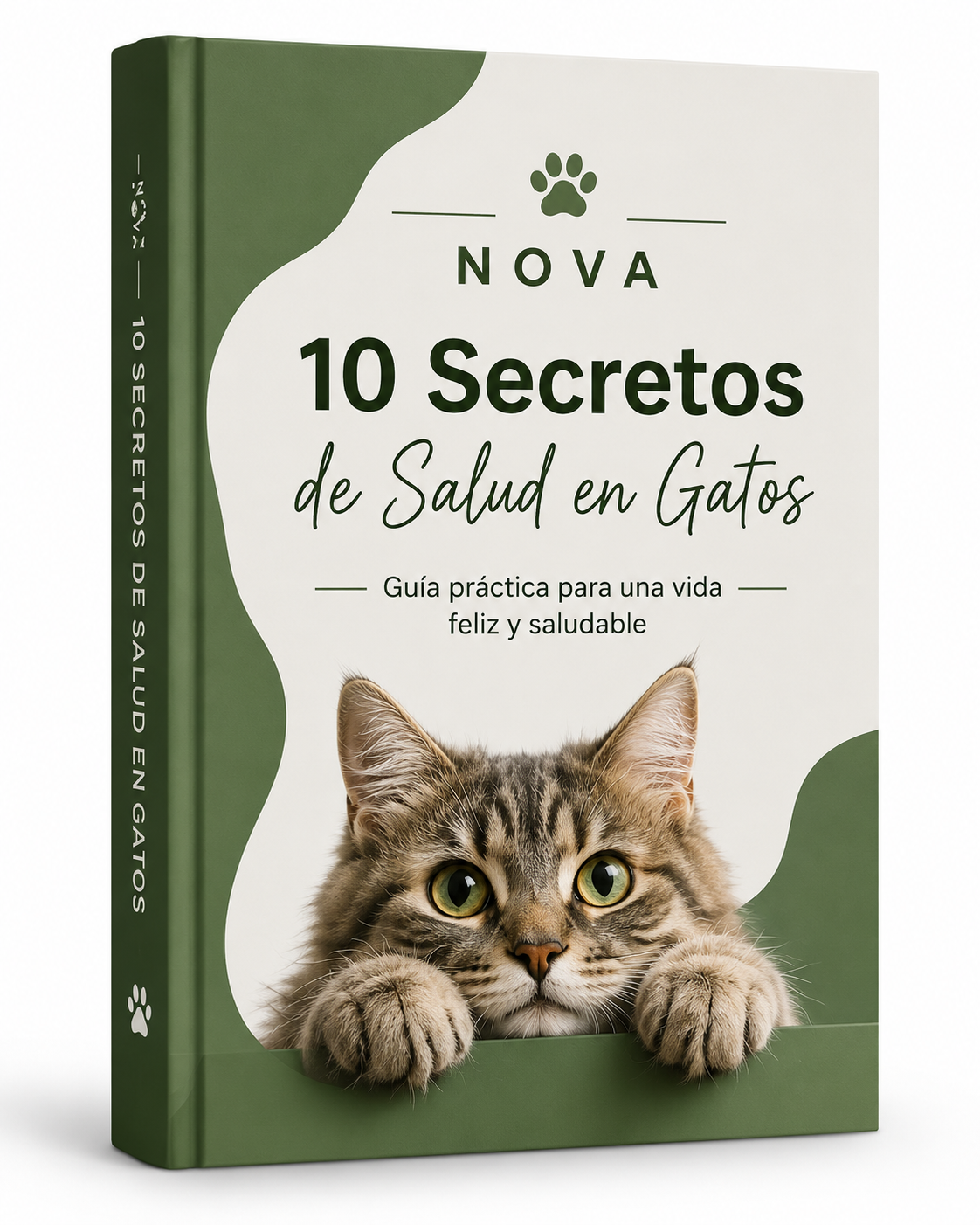eBook